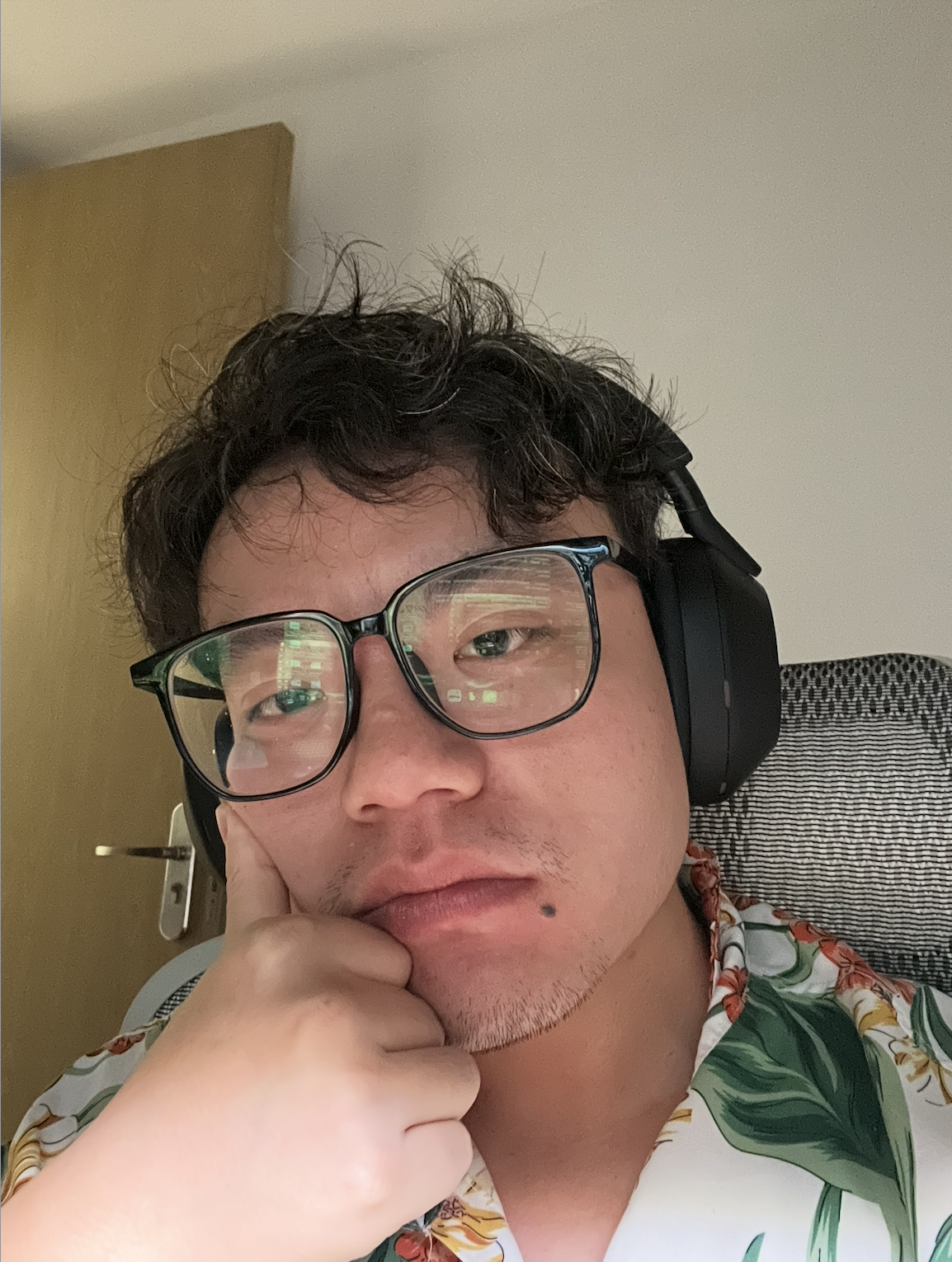 麦斯想摸鱼